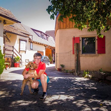 Au Murier Goxwiller Exterior foto